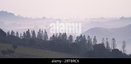 Vista da Stiperstones, una cresta rocciosa di quarzite nel South Shropshire, Inghilterra. Foto Stock