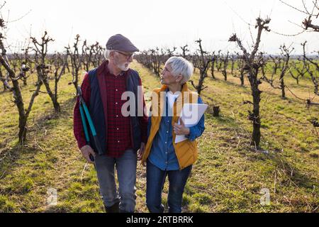 Coppia matura che cammina nel frutteto all'inizio della primavera e parla, tenendo in mano le forbici da potatura Foto Stock