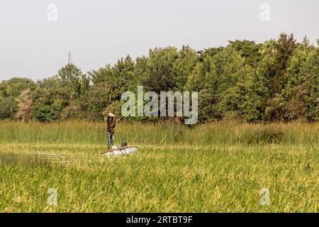 HAWASSA, ETIOPIA - 26 GENNAIO 2020: Pescatore al lago Awassa, Etiopia Foto Stock