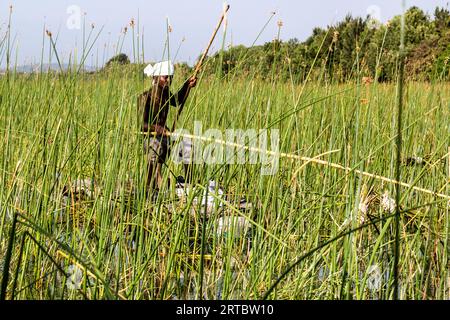 HAWASSA, ETIOPIA - 26 GENNAIO 2020: Pescatore al lago Awassa, Etiopia Foto Stock