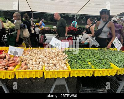 La gente acquista frutta e verdura fresca al mercato agricolo del Grand Army Plaza al Prospect Park di Brooklyn, New York. Foto Stock