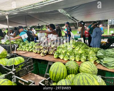 La gente acquista frutta e verdura fresca al mercato agricolo del Grand Army Plaza al Prospect Park di Brooklyn, New York. Foto Stock