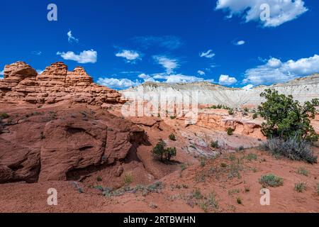 Torreggianti guglie monolitiche o camini si ergono dal fondo della valle o sporgono dalle rocce di arenaria che circondano Kodachrome Basin e ispirano un Foto Stock