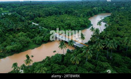 Una strada sterrata si snoda attraverso una lussureggiante foresta pluviale tropicale, che conduce a una destinazione sconosciuta Foto Stock