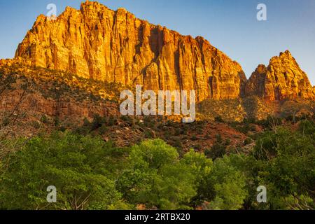 La luce della sera colora il Watchman nel Parco Nazionale di Zion Foto Stock