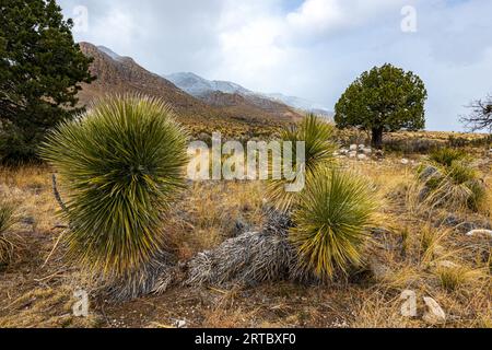 Vista sulle montagne con un tocco di neve sulle cime. Foto Stock