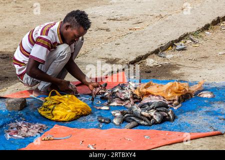 HAWASSA, ETIOPIA - 28 GENNAIO 2020: Pescatore con la sua cattura al mercato del pesce di Hawassa, Etiopia Foto Stock