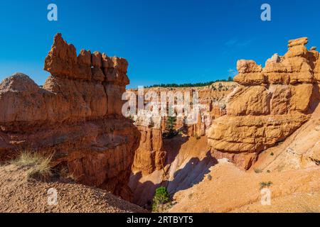 Facendo un'escursione attraverso l'anfiteatro del Bryce Canyon si scoprono molti Hoodoo's e altri splendidi siti Foto Stock