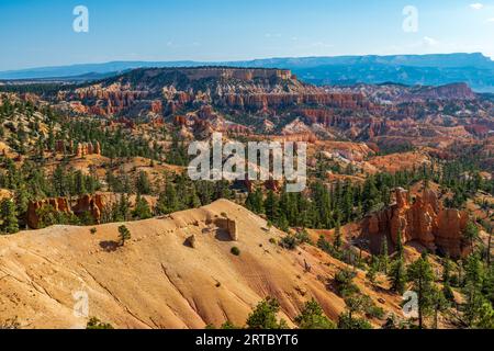 Facendo un'escursione attraverso l'anfiteatro del Bryce Canyon si scoprono molti Hoodoo's e altri splendidi siti Foto Stock