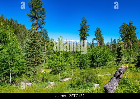 Williams Reservoir e Creek si trovano nella natura selvaggia tra Pagosa Springs e Lake City Foto Stock