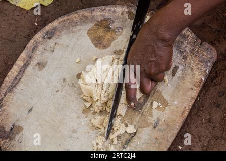 Dorze Woman sta preparando l'impasto per il pane kocho fatto di enset (falsa banana), importante fonte di cibo, Etiopia Foto Stock