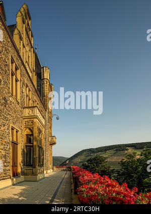 Terrazza decorata con fiori e edificio principale in stile neogotico, castello di Klopp, sullo sfondo rovine del castello di Ehrenfels, Bingen e Rüdesheim, mi superiore Foto Stock