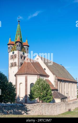 Chiesa storica di San Giorgio, Chatenois, Alsazia, Francia, Europa Foto Stock