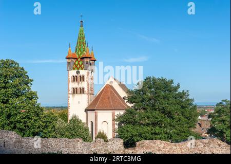 Chiesa storica di San Giorgio, Chatenois, Alsazia, Francia, Europa Foto Stock