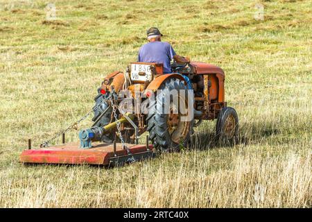 Agricoltore che guida il vecchio trattore Renault V37 per tagliare erba lunga - Indre-et-Loire (37), Francia. Foto Stock