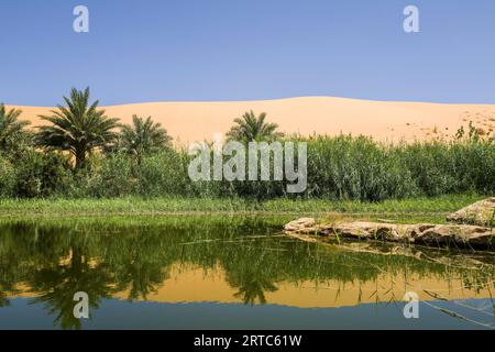 Mauritania, regione di Adrar, oasi di Mhaireth Foto Stock