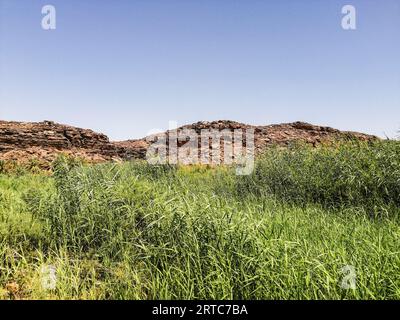 Mauritania, regione di Adrar, oasi di Mhaireth, paesaggio Foto Stock