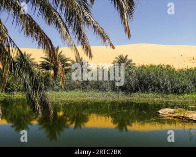 Mauritania, regione di Adrar, oasi di Mhaireth, paesaggio Foto Stock