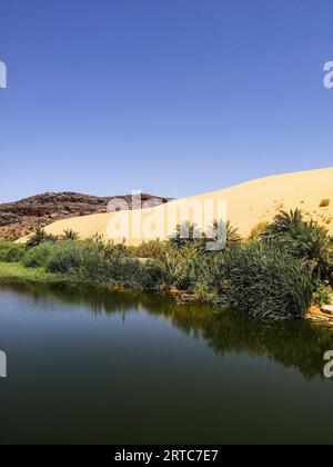 Mauritania, regione di Adrar, oasi di Mhaireth, paesaggio Foto Stock