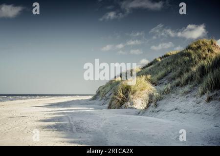 Dune sulla spiaggia di Baltrum, Isole Frisoni Orientali, bassa Sassonia, Germania, Europa Foto Stock
