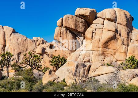 Impressionanti formazioni rocciose e cespugli con un cielo blu nel Joshua Tree National Park in California, Stati Uniti Foto Stock