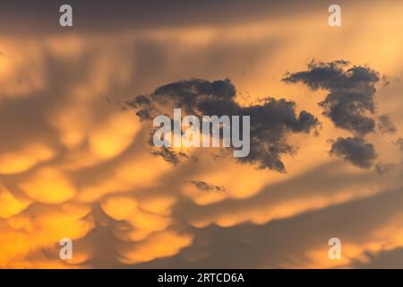 Nuvole scure di fronte a una formazione di nuvole gialle al tramonto, Darmstadt, Germania Foto Stock