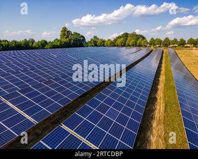 Un sistema montato a terra di molti pannelli solari su uno spazio aperto con alberi e nuvole sullo sfondo, Assia, Germania Foto Stock