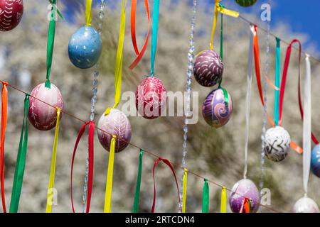 Le uova dipinte pendono dai rami dell'albero di Pasqua. Il fuoco è su un uovo giallo dipinto dai bambini a mano. Foto di alta qualità Foto Stock