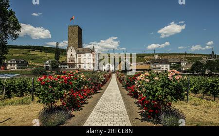 Vista su un'azienda vinicola di Boosenburg (XII secolo) e una villa (1872) in stile neogotico, sullo sfondo la funivia di Rüdesheim per il Niederwal Foto Stock