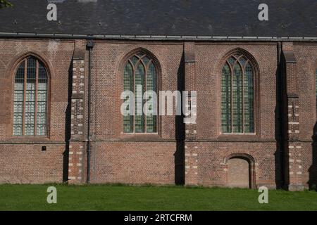 Woudrichem, Paesi Bassi. St Chiesa di Martinus nella vecchia città fortificata storica vista dal villaggio, tipico paesaggio olandese nel Brabante settentrionale, t Foto Stock