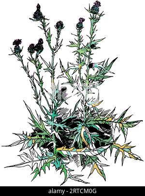 Elegante disposizione floreale di fiori e foglie d'arte. Illustrazione monocromatica di burdock Illustrazione Vettoriale