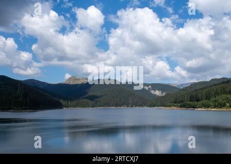 Lago Bolboci, Romania. Riflessione Foto Stock