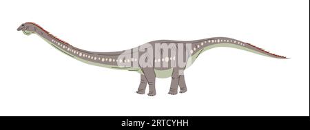 Dinosauro sauropode di lucertola spinata da Haplocanthosaurus con coda lunga e spine dorsali sul dorso di un antico animale isolato. Personaggio dei cartoni animati di dinosauro vettoriale Illustrazione Vettoriale