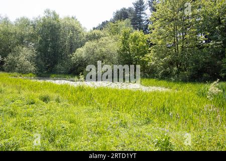 Vecchia funivia ora sentiero pedonale e riserva naturale che collega Bamber Bridge al fiume Ribble a Preston Lancashire Inghilterra Foto Stock