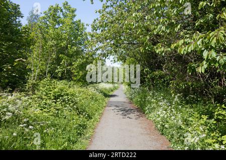 Vecchia funivia ora sentiero pedonale e riserva naturale che collega Bamber Bridge al fiume Ribble a Preston Lancashire Inghilterra Foto Stock