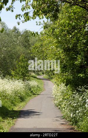 Vecchia funivia ora sentiero pedonale e riserva naturale che collega Bamber Bridge al fiume Ribble a Preston Lancashire Inghilterra Foto Stock