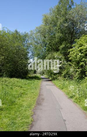 Vecchia funivia ora sentiero pedonale e riserva naturale che collega Bamber Bridge al fiume Ribble a Preston Lancashire Inghilterra Foto Stock