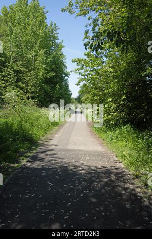 Vecchia funivia ora sentiero pedonale e riserva naturale che collega Bamber Bridge al fiume Ribble a Preston Lancashire Inghilterra Foto Stock