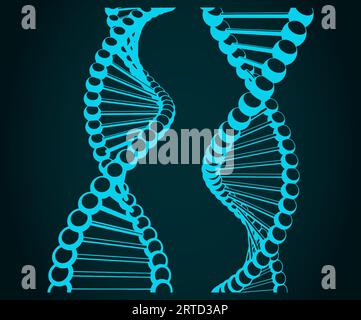 Illustrazione vettoriale stilizzata delle catene di DNA Illustrazione Vettoriale