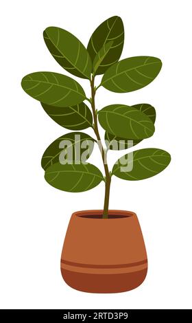 Ficus pianta in vaso, cartone animato isolato fiore al coperto in vaso di argilla, con foglie verdi lussureggianti e crescita elegante, aggiunge un tocco di bea naturale Illustrazione Vettoriale