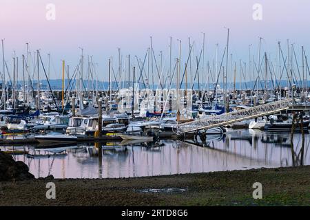 Seattle - 9 settembre 2023; yacht a Elliott Bay Marina all'alba con maschere e litorale Foto Stock