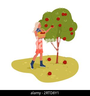 Giardiniere di cartone animato o personaggio agricolo che raccoglie mele da alberi, agricoltura vettoriale, giardinaggio o agricoltura. Donna allegra che raccoglie frutti maturi con i bassi Illustrazione Vettoriale