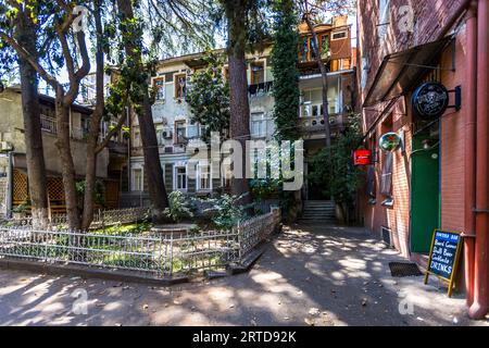 Edera e vecchi alberi circondano edifici antichi a più piani in una strada tranquilla del quartiere Sololaki di Tbilisi, Georgia. Davanti c'è un piccolo giardino dietro una recinzione in ferro battuto bianca. A destra, i cartelli del Kantora Bar sono appesi su una facciata in mattoni sopra una porta verde. Una lavagna pubblicizza lì „Giochi da tavolo, Birra alla spina, Cocktail, Bevande“. La luce del sole filtra attraverso le foglie sul lastricato. Foto Stock