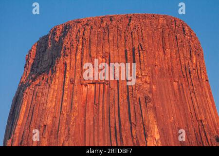 Alba sul Devil's Tower National Monument in Wyoming. Devils Tower, che sorge a 1267 metri sopra il Belle Fourche River, è stata la prima nazionale monum Foto Stock