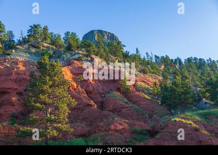 Alba che splende sulle scogliere di roccia rossa al devil's Tower National Monument nel Wyoming. Devils Tower, che sorge a 1267 metri sopra il fiume Belle Fourche. Foto Stock