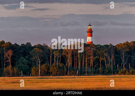 Luce mattutina sul faro di Assateague, Assateague Island National Seashore, Chincoteague, Virginia, USA Foto Stock