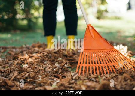 Rastrellare le foglie cadute dal prato. Ripulire le foglie cadute in giardino. Utilizzare un rastrello in plastica per pulire il prato dalle foglie cadute. Foto Stock