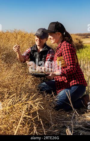 Una donna contadina seduta nei campi che insegna al suo apprendista le moderne tecniche agricole per le colture di canola utilizzando tecnologie wireless e agric... Foto Stock