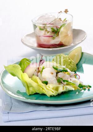 Ceviche su lattuga con una crema di avocado Foto Stock