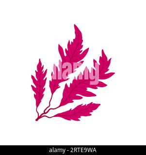 Ramo viola della pianta di alghe marine con foglie, decorazione acquario. Piante e alghe marine sottomarine vettoriali, fauna nautica e alghe della barriera corallina Illustrazione Vettoriale